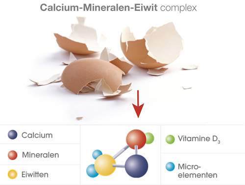 ovovital-calcium-mineralen-eiwit-complex.png